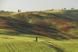 Taste Vacations Tuscany Hills